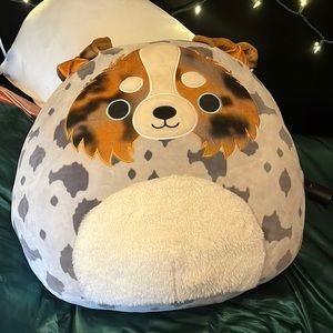 Australian Shepherd Squish-mallow. Raylor Squishmallow. 24 inch
